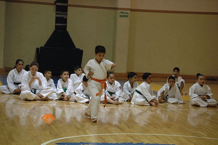 Efectúan Exámenes de Karate