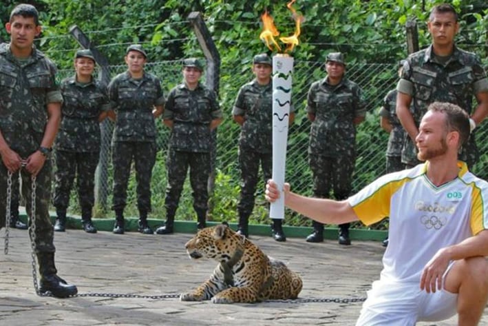 Exhiben y matan a jaguar en Brasil