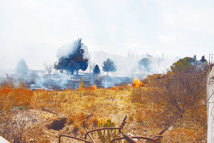 Destruyen incendios 419  hectáreas en el último mes