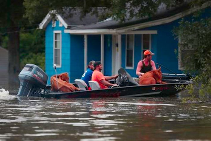 Van 11 muertos  por inundaciones