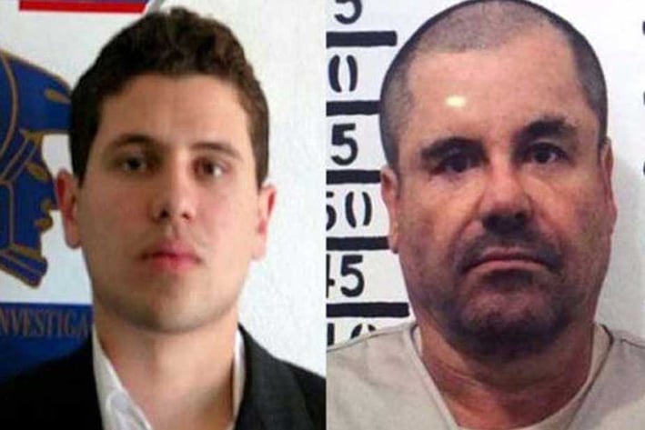 Reportan liberación  de hijo de 'El Chapo'
