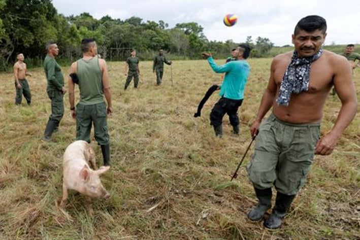 FARC destruirá 100 toneladas de armas