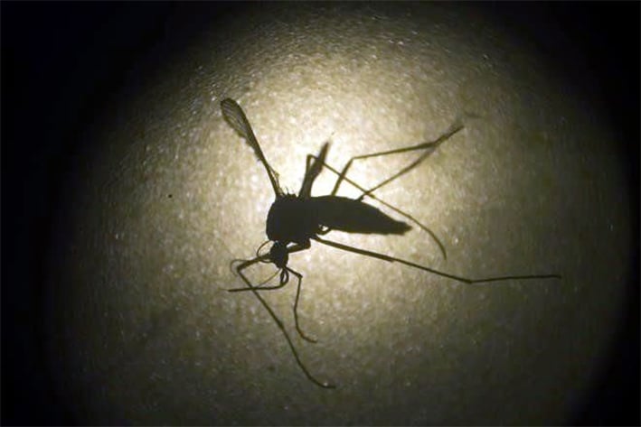 Retira OMS emergencia por zika