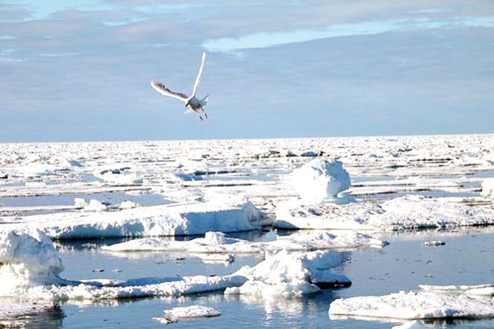 El Ártico podría salvarse con 500 mdd