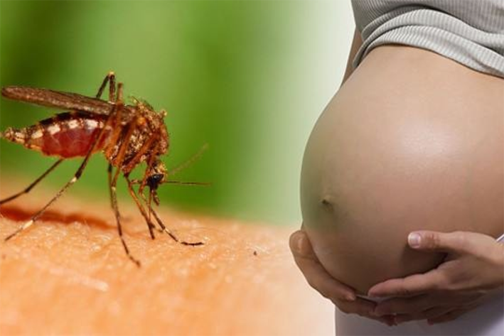 Detectan zika a 2 embarazadas