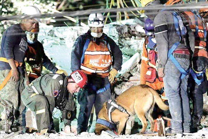 Suman 307 muertos en el país por sismo