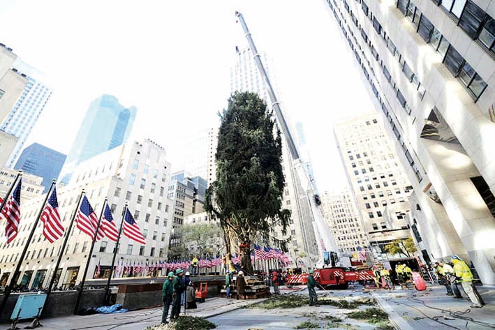 Colocan árbol de Navidad en Rockefeller Center