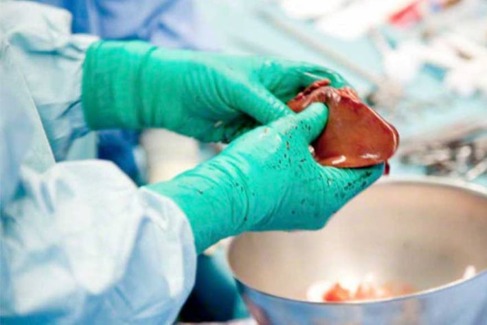 Por calificar en donación de órganos las clínicas del IMSS de Monclova