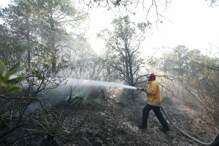 Arrasa incendio forestal con 600 hectáreas