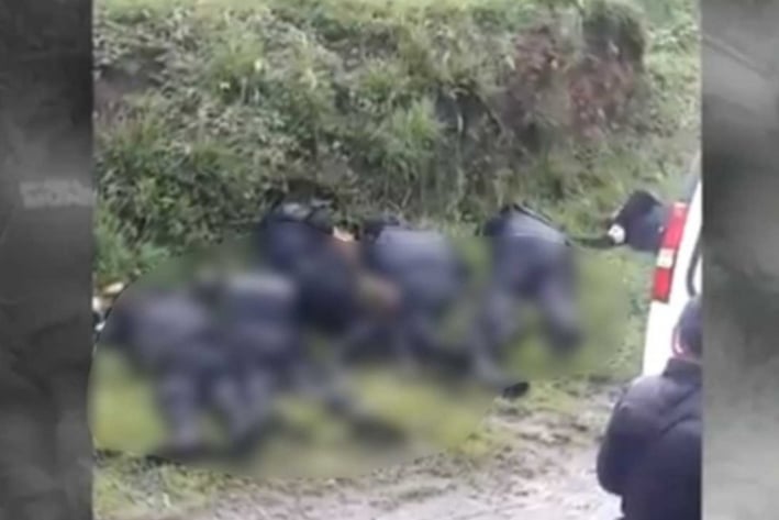 Caen 2 mandos y 2 civiles tras homicidio de 6 policías en  Amozoc