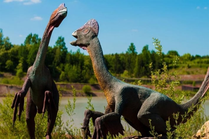 Encuentran más de 300 huellas de dinosaurios en China