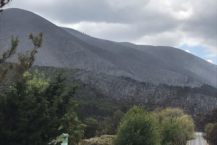 Casi extinto incendio de la Sierra de Arteaga