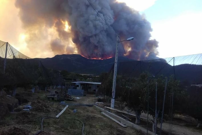 En alerta Nuevo León, por incendio forestal, de Arteaga