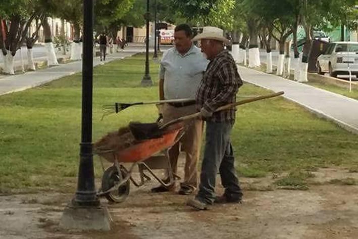 Cuidados y limpieza en Alameda Juárez