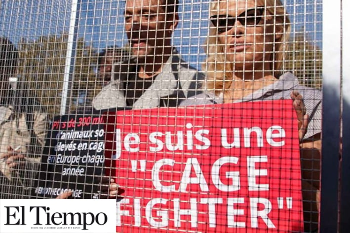 Pamela Anderson denuncia maltrato animal desde una jaula