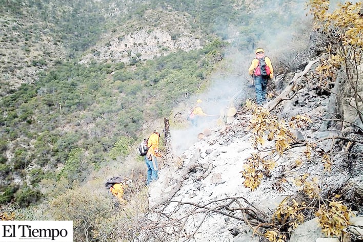 Controlan  incendio forestal en Arteaga