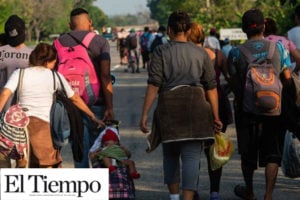 Han interceptado a 779 migrantes en Tamaulipas