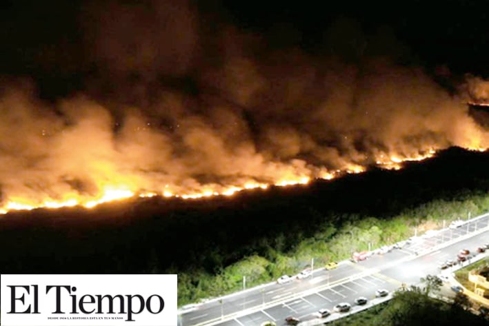 Incendio termina con más de 200 hectáreas de manglares en Campeche