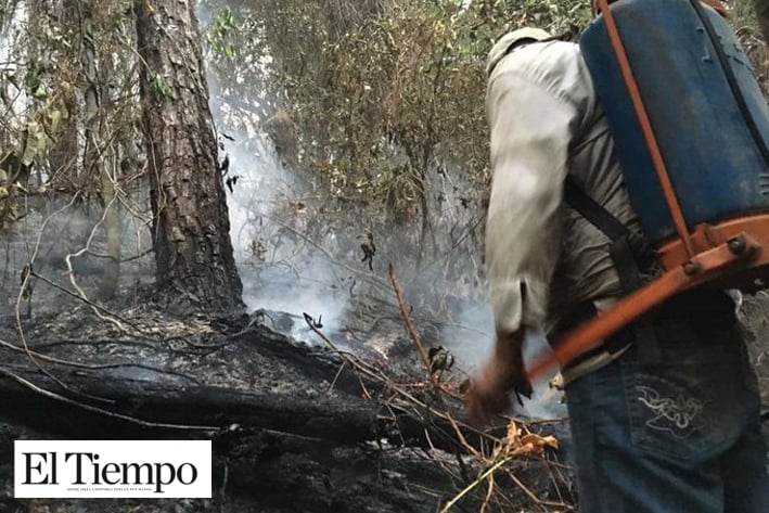 Selva Ayuuk en Oaxaca bajo amenaza por incendio