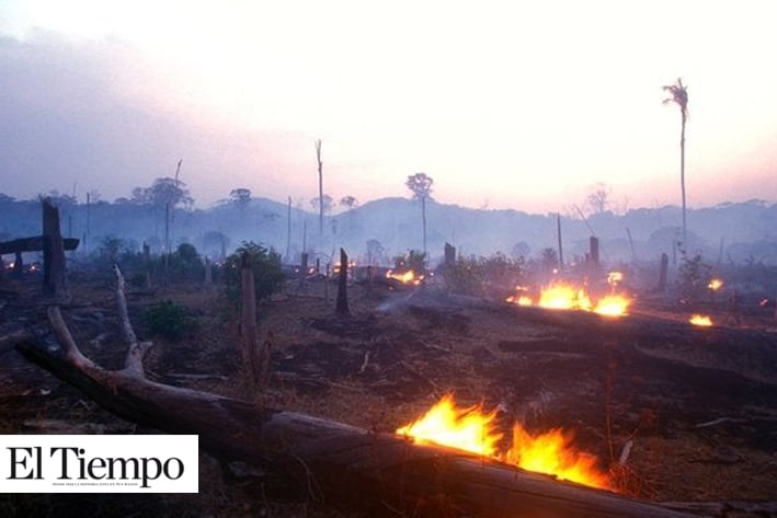 Jair Bolsonaro ordena a fuerzas armadas combatir incendios en Amazonas