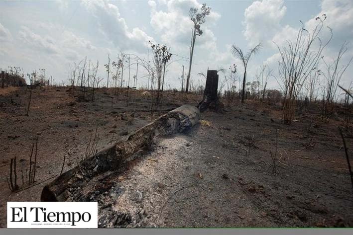 G7 ofrece a Brasil 20 mdd para combatir el fuego en la Amazonía