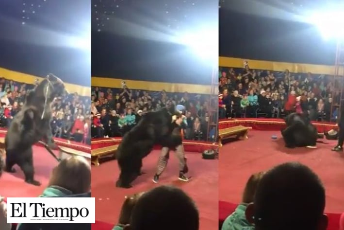 Oso ataca a domador durante función circense en Rusia