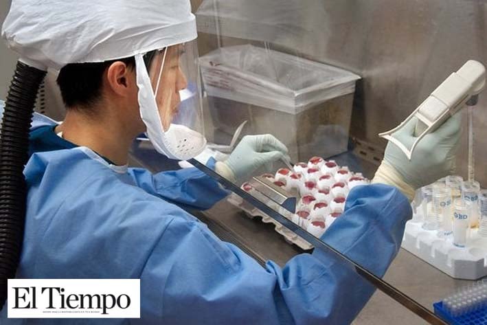 Confirma Japón primer caso de infección por coronavirus con origen en China
