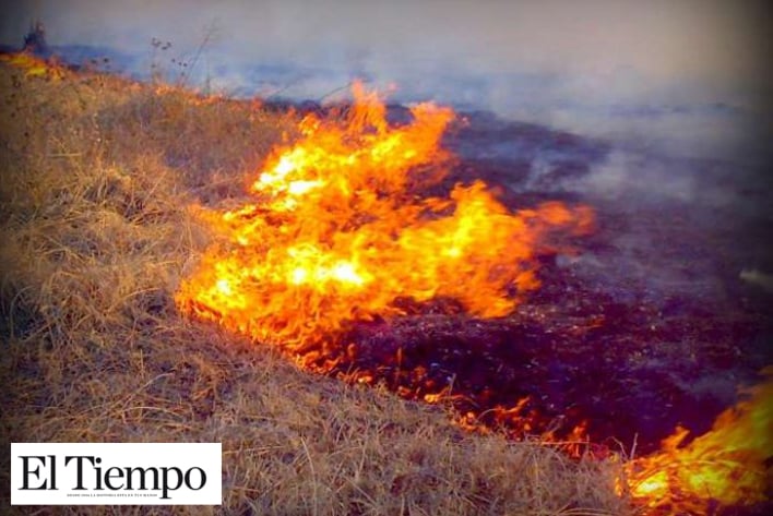 42 hectáreas devastadas por incendios