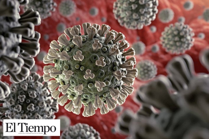 Científicos mexicanos  identifican secuencia del  genoma del coronavirus