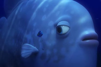 Lanzan nuevo tráiler de “Finding Dory”