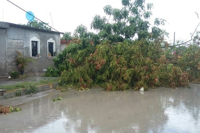 Deja tromba severos daños