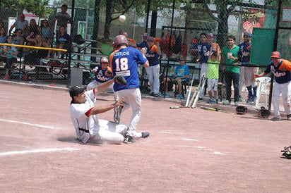 Gators están en la final