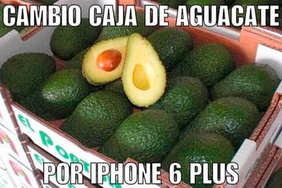 Se burlan en redes del precio del aguacate