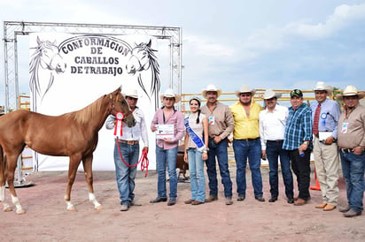 Realizan  Conformación  de Caballos