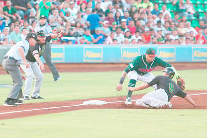 Pericos levantan el vuelo