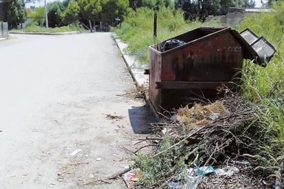 Descuida Ecología su labor invade maleza al Municipio