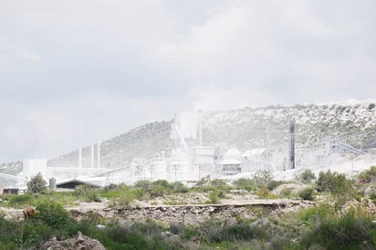 Afecta biodiversidad explotación en cerro