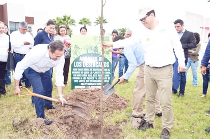 Crean Bosque Universitario