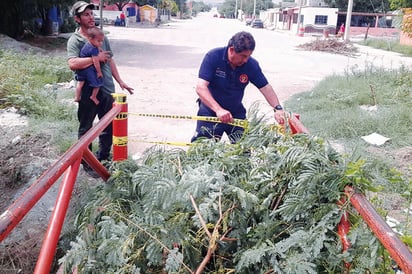 Clausura PC puente peatonal