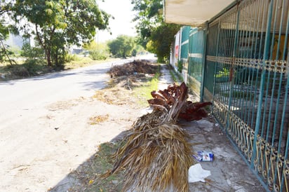 Caro y deficiente servicio municipal