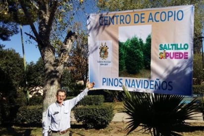 Invitan a llevar pino   a centro de acopio