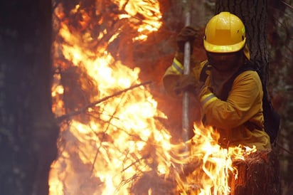 50 brigadistas mexicanos llegan a Chile