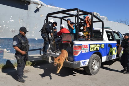 Al bote con todo y perro