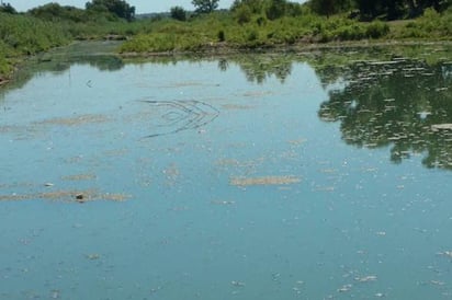 Salvan de ahogarse a 7 niños en el Río Bravo