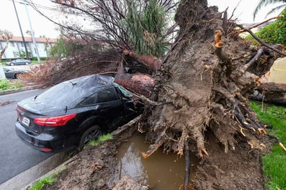 Tormenta deja caos y dos muertos