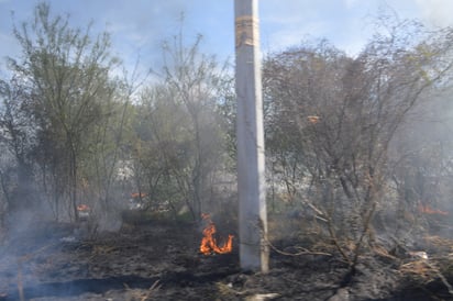 Alarma a colonos incendio de hierba