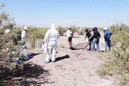 Enterraron a vaquero en fosa clandestina