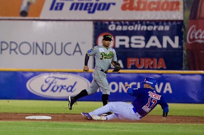 Pericos levantan el vuelo