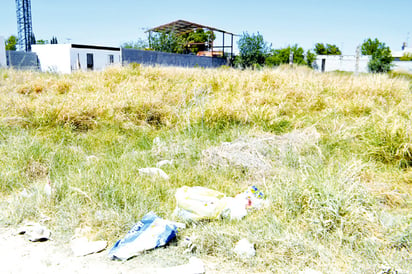 Ensucian vecinos su propia colonia