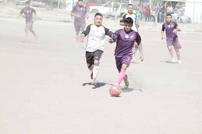 Tigres y Halcones son finalistas